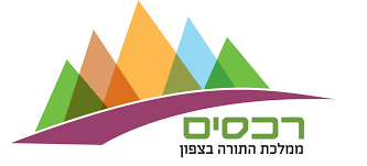 מועצה רכסים